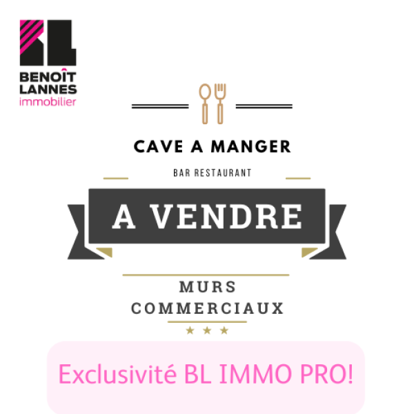 Vente Immobilier Professionnel Murs commerciaux Toulouse 31400