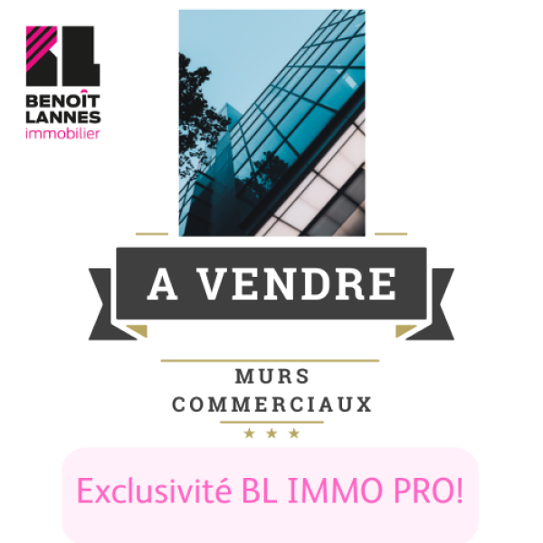 Vente Immobilier Professionnel Murs commerciaux Toulouse 31400