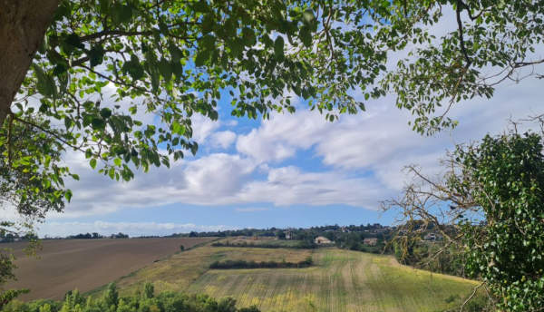 Offres de vente Terrain à batir Toulouse 31400