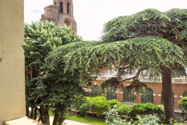 Offres de vente Appartement Toulouse 31000