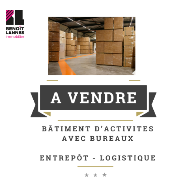Vente Immobilier Professionnel Local d'activité Ondes 31330